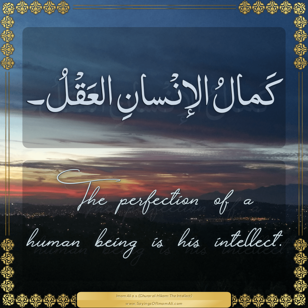 The perfection of a human being is his intellect.